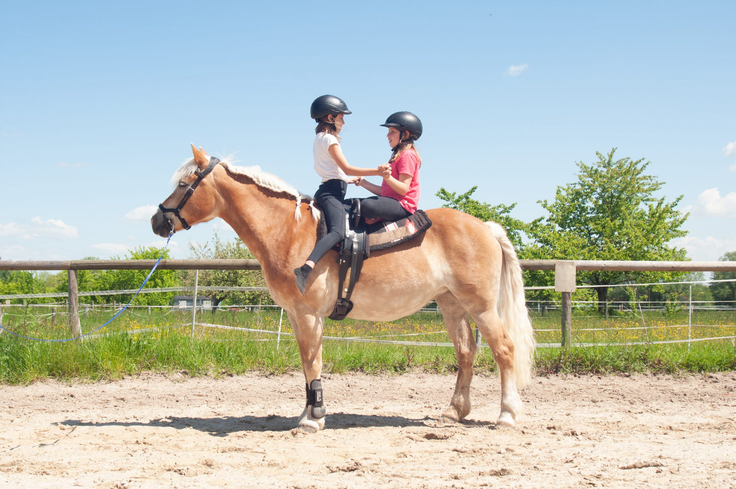 Reitcamp in den Sommerferien 28. Juni – 3. Juli 2026