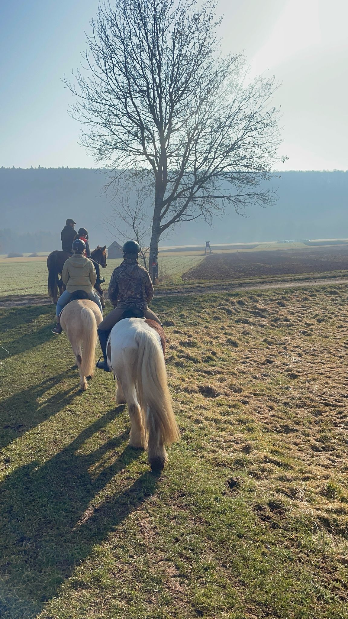 Reitferien – Pferde, Natur & gemütliche Gemeinschaft 🐴🍂 11.–16. Oktober 2026