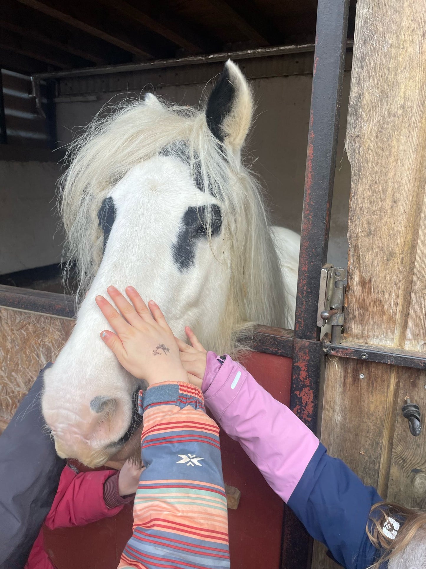 Reitcamp in den Sommerferien  28. Juni – 3. Juli 2026