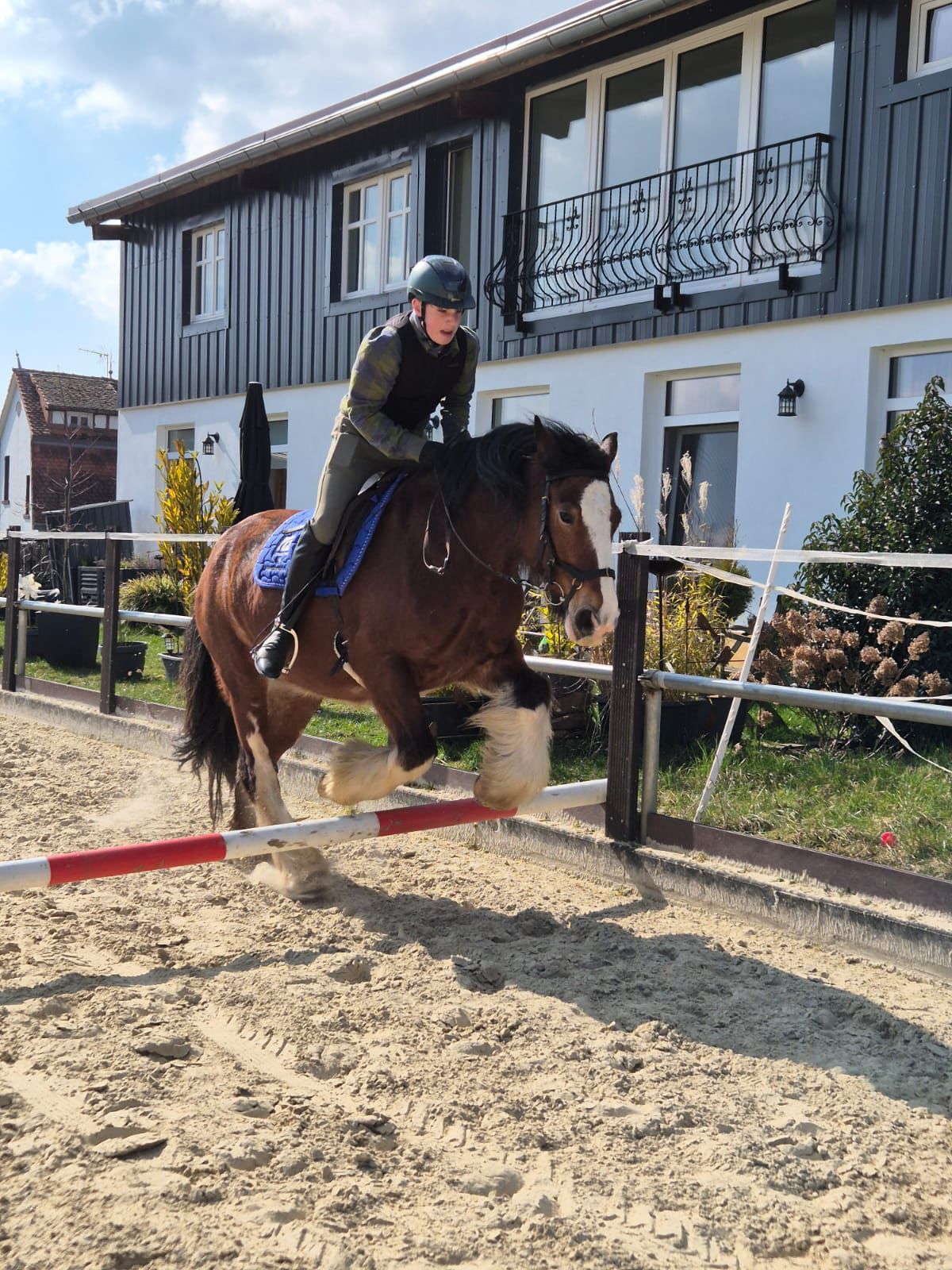 Übernachtungs-Workshop: „Gangarten-Check – Schritt, Trab, Galopp“