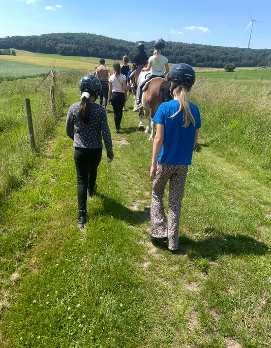INKLUSION IN DEN PONYSCHULEN- Fortbildungswochenende für zertifizierte Lehrkräfte Team Pony Concept und deren Mitarbeiter