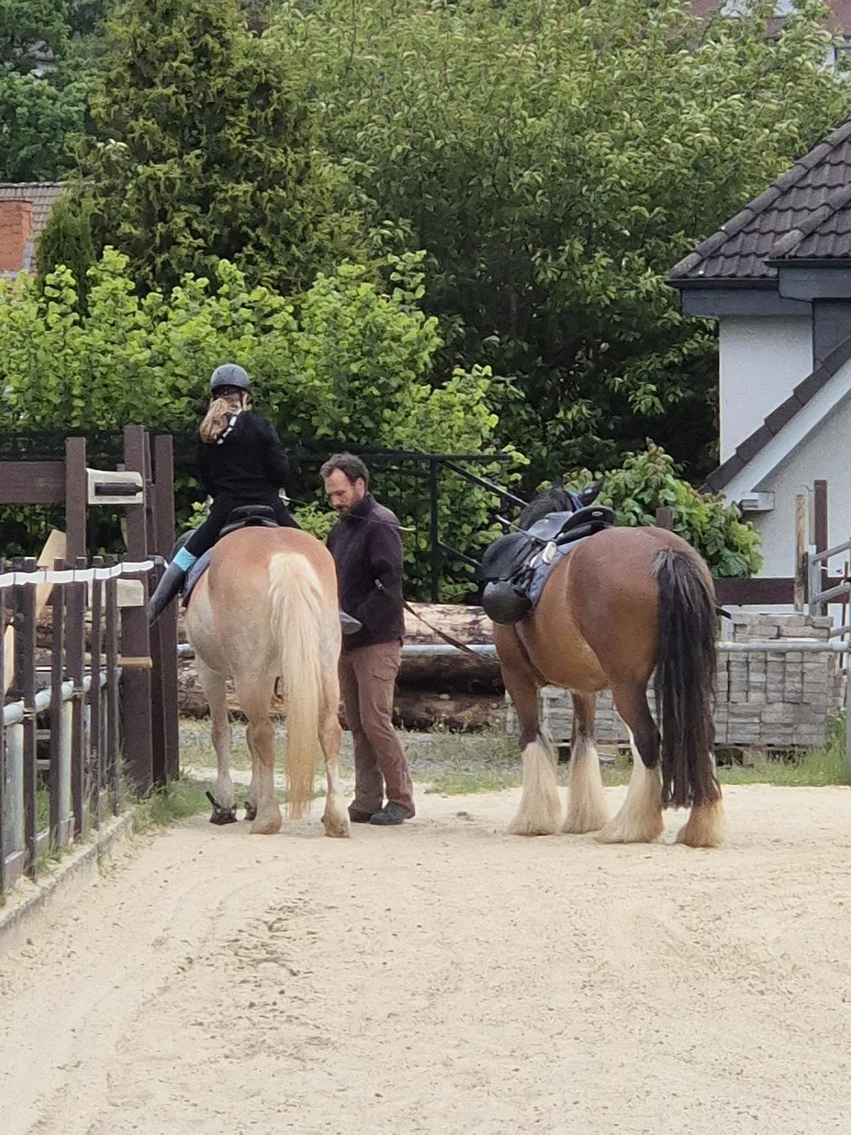 Treat Your Seat –Reiterlicher Sitz & Bewegungsübungen auf dem Pferd am Samstag 8.11.25