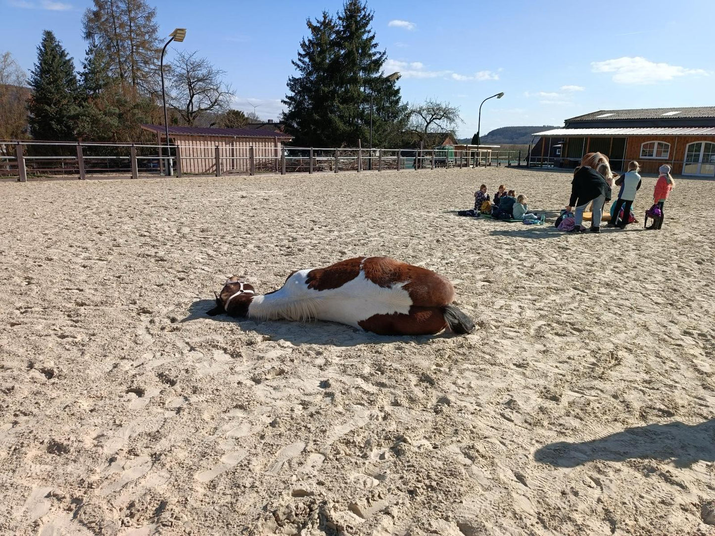 🧘🐴 Yoga & Reiten Kids