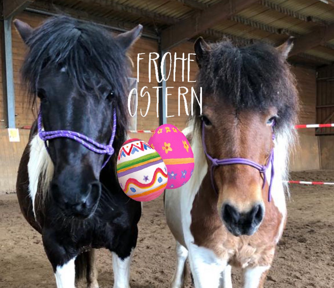 Hopp, Hopp, Eier-Stopp! – Eiersuche zu Pferd