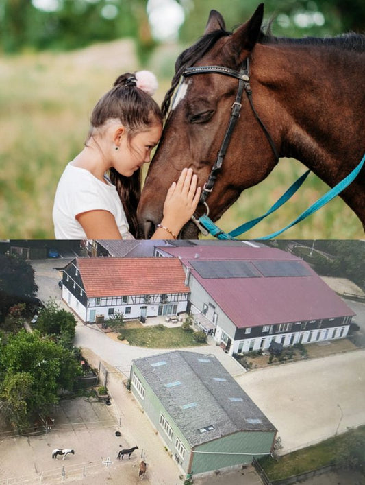 Reitcamp in den Sommerferien  28. Juni – 3. Juli 2026