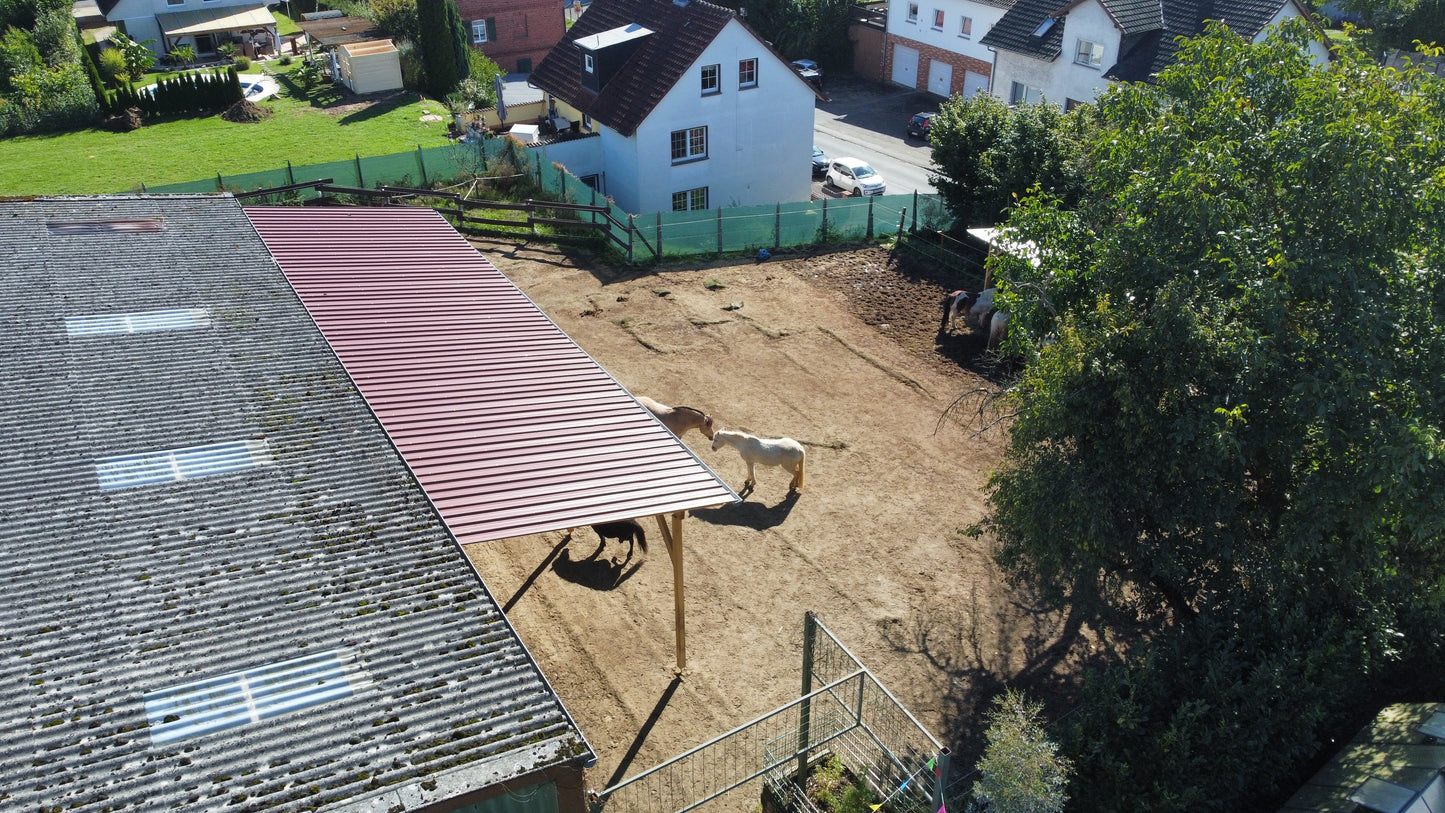 Reitcamp in den Sommerferien  28. Juni – 3. Juli 2026