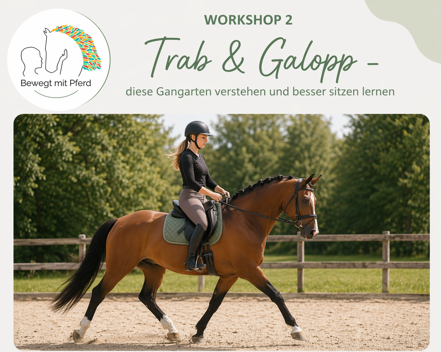 Trab & Galopp – diese Gangarten verstehen und besser sitzen lernen am 20.06