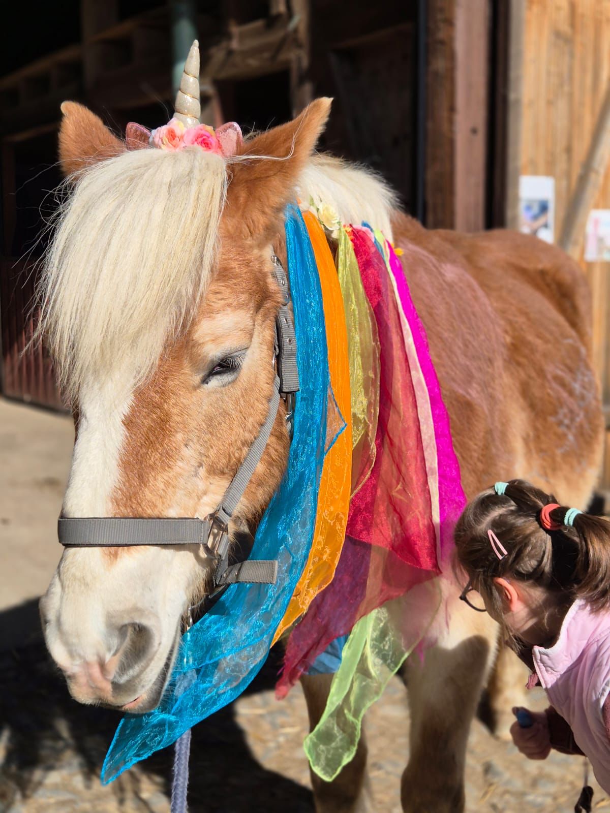 Manege frei – Zirkusabenteuer auf dem Begegnungshof