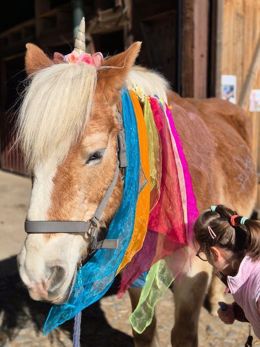 Manege frei – Zirkusabenteuer auf dem Begegnungshof