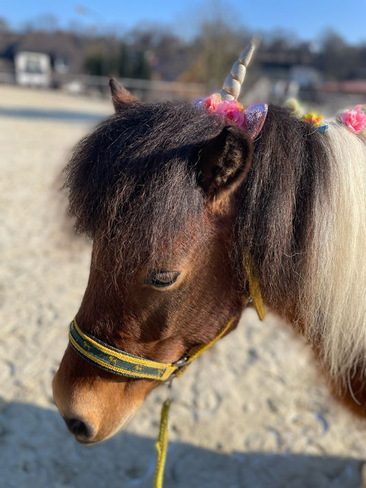 ACH DU SCHRECK, DAS EINHORN IST WEG!