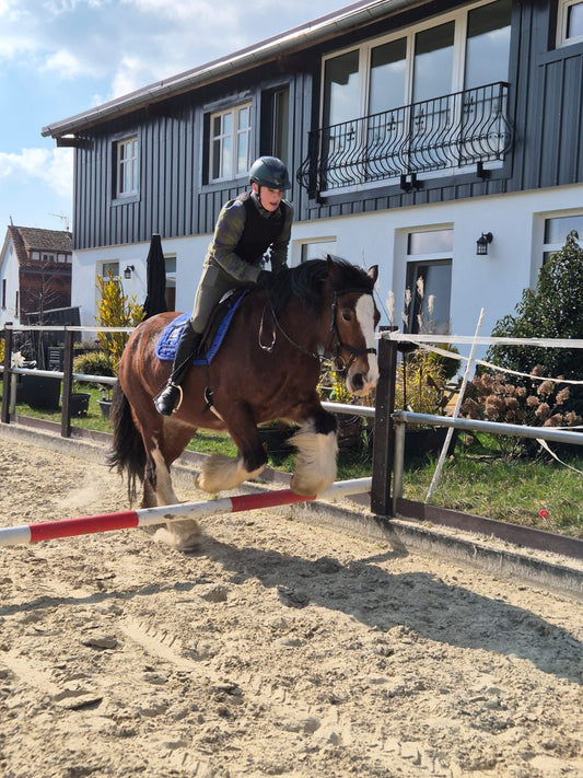 Übernachtungs-Workshop: „Gangarten-Check – Schritt, Trab, Galopp“