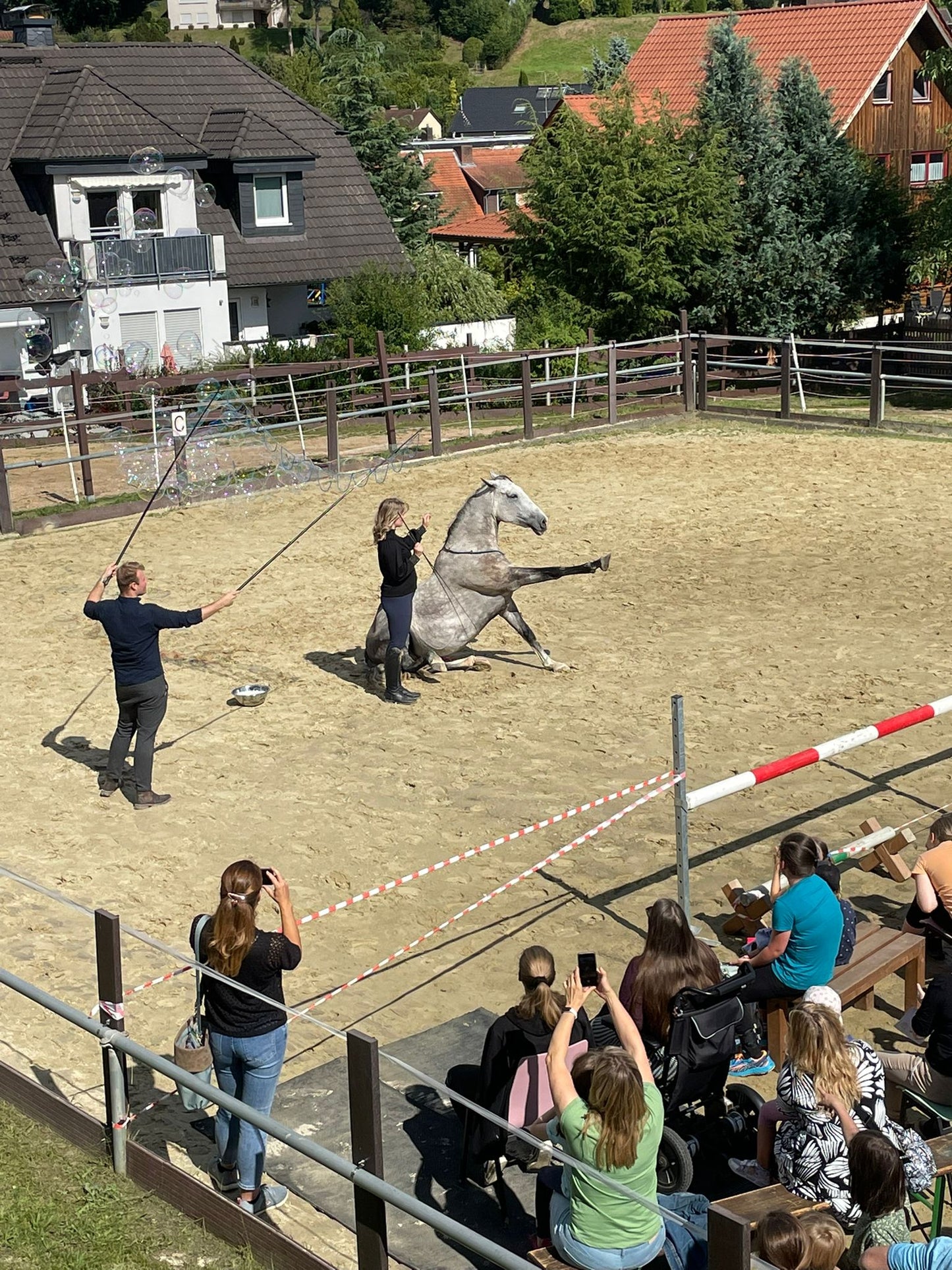 Freiarbeit & Zirzensik