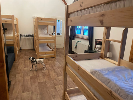 Eine Nacht auf dem Pferdehof